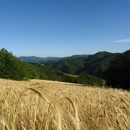 Farm stay I Monti Di Salecchio Palazzuolo Sul Senio