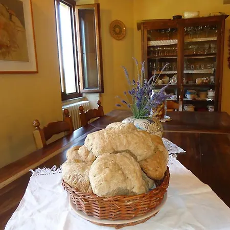 I Monti Di Salecchio Palazzuolo Sul Senio
