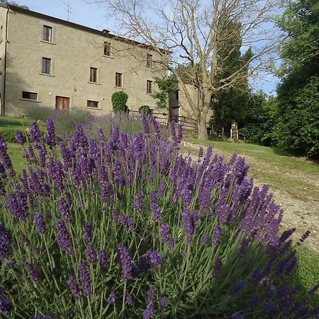I Monti Di Salecchio *