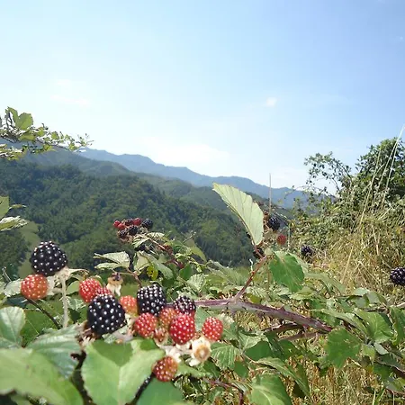 I Monti Di Salecchio