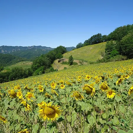 I Monti Di Salecchio