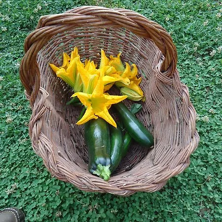I Monti Di Salecchio Farm stay *
